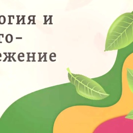 «Экология и энергосбережение» в рамках Всероссийского фестиваля #ВместеЯрче «Экология и энергосбережение» в рамках Всероссийского фестиваля #ВместеЯрче