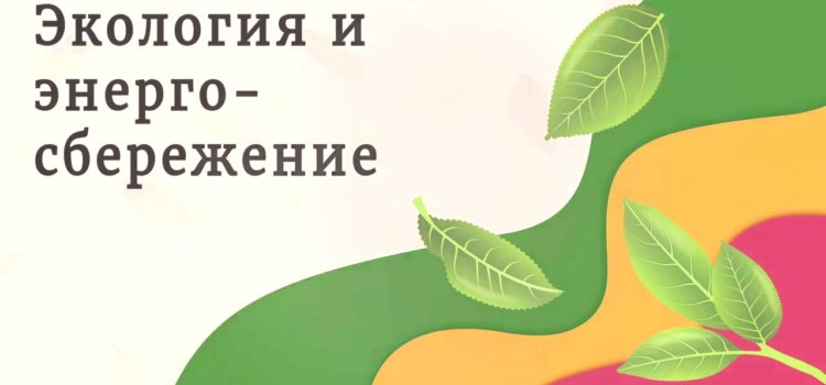 «Экология и энергосбережение» в рамках Всероссийского фестиваля #ВместеЯрче