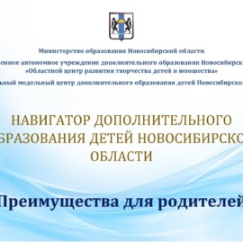ВЕБИНАР ДЛЯ РОДИТЕЛЕЙ «ВСЕ о НАВИГАТОРЕ дополнительного образования НСО» ВЕБИНАР ДЛЯ РОДИТЕЛЕЙ «ВСЕ о НАВИГАТОРЕ дополнительного образования НСО»