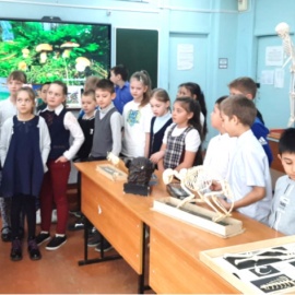 Месячник экологического воспитания Месячник экологического воспитания