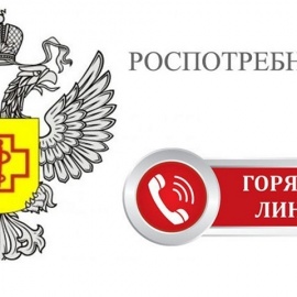 Горячая линия по школьному питанию Горячая линия по школьному питанию