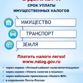 1 декабря срок уплаты имущественных налогов! 1 декабря срок уплаты имущественных налогов!