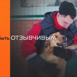 #МЫВМЕСТЕ 2024 #МЫВМЕСТЕ 2024